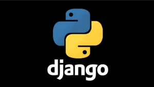 آموزش نصب جنگو (django) روی هاست پایتون آموزش نصب جنگو (django) روی هاست پایتون
