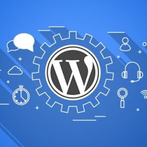 تفاوت هاست وردپرس و لینوکس معمولی