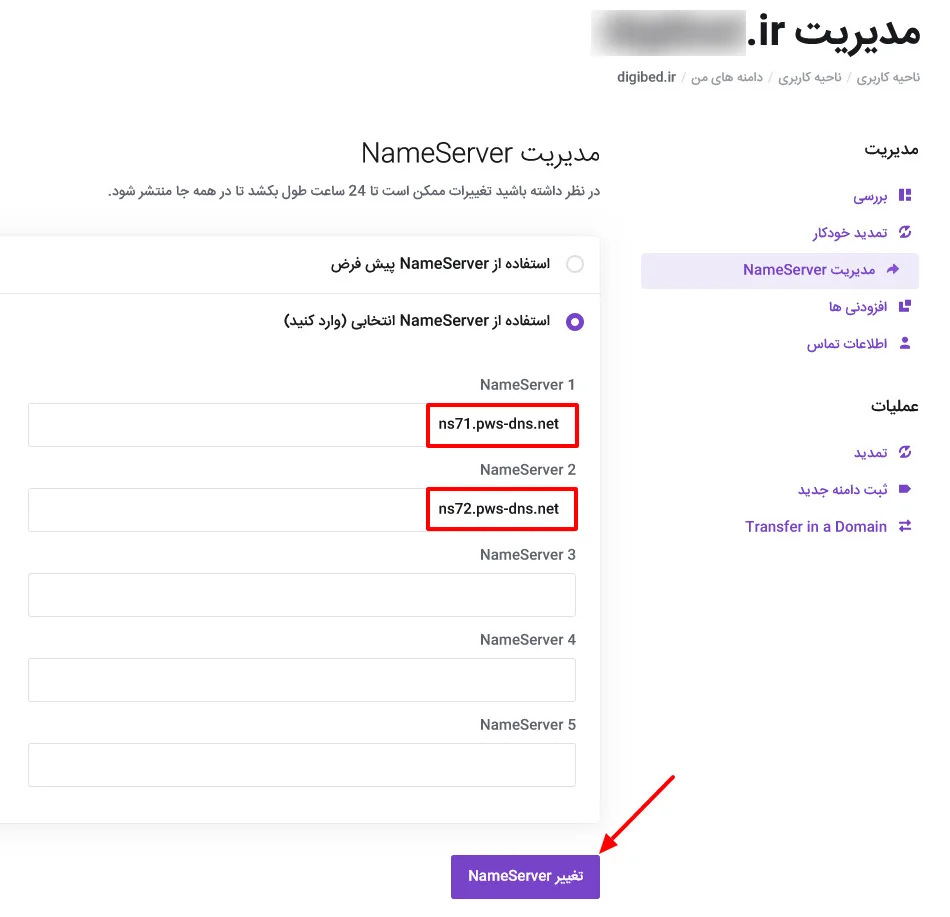 ست کردن دی ان اس