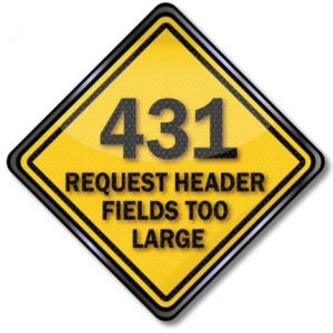بررسی ارور Request Header Fields Too Large 431