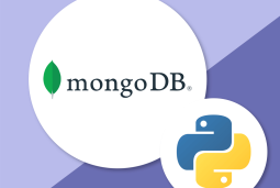 راهنمای استفاده از مونگو دی بی در پایتون – MongoDB in Python