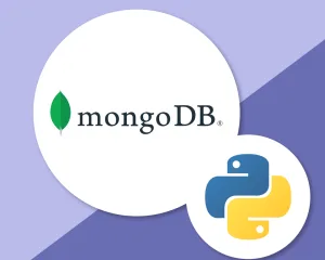 راهنمای استفاده از مونگو دی بی در پایتون – MongoDB in Python راهنمای استفاده از مونگو دی بی در پایتون – MongoDB in Python
