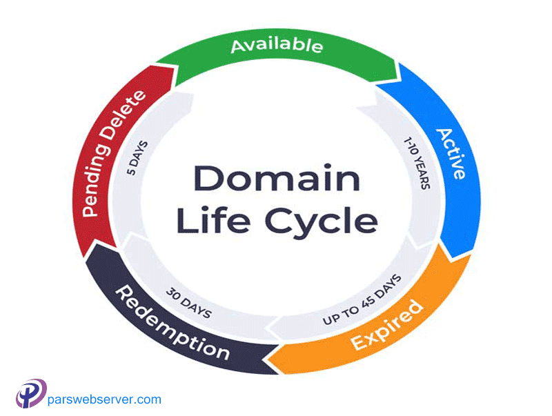 چرخه حیات دامنه