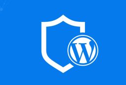 نقش امنیت در سایتهای وردپرسی