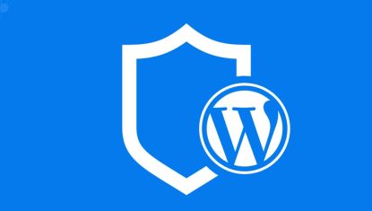 نقش امنیت در سایتهای وردپرسی