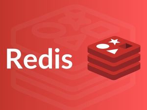 خرید هاست ردیس(redis) با کنترل پنل سی پنل (cpanel) خرید هاست ردیس(redis) با کنترل پنل سی پنل (cpanel)