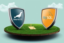 تفاوت بین MySQL و MariaDB